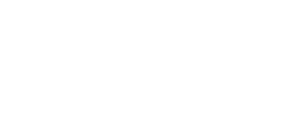 The Brooklyn Press logo