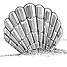 Shell Ann Printing logo