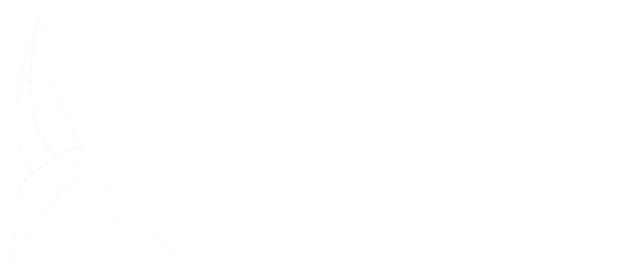 Kingfisher Medical logo
