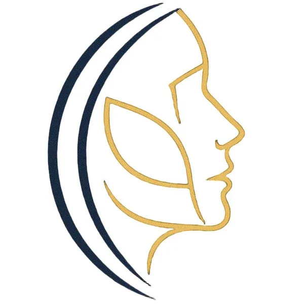 FaceFrame Labs, Inc logo