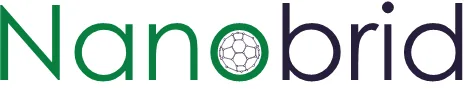 Nanobrid Innovations Private Limited logo