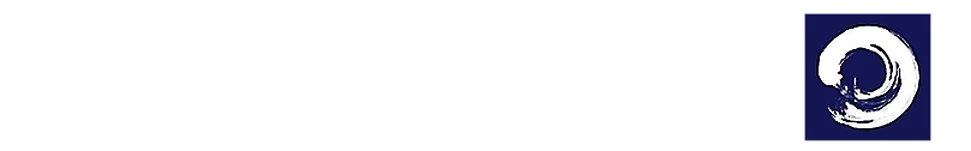 MECAL High-tech / Systems logo