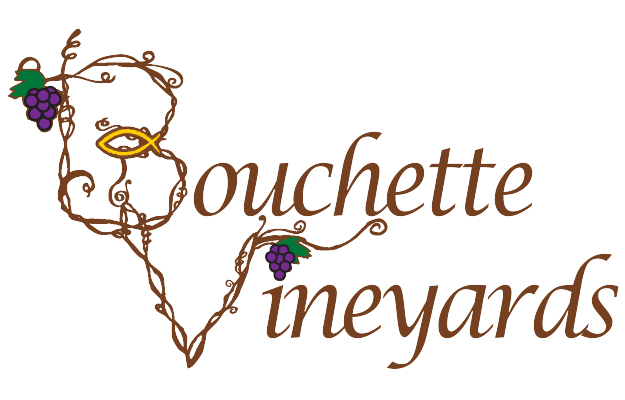 Bouchette Vineyards logo
