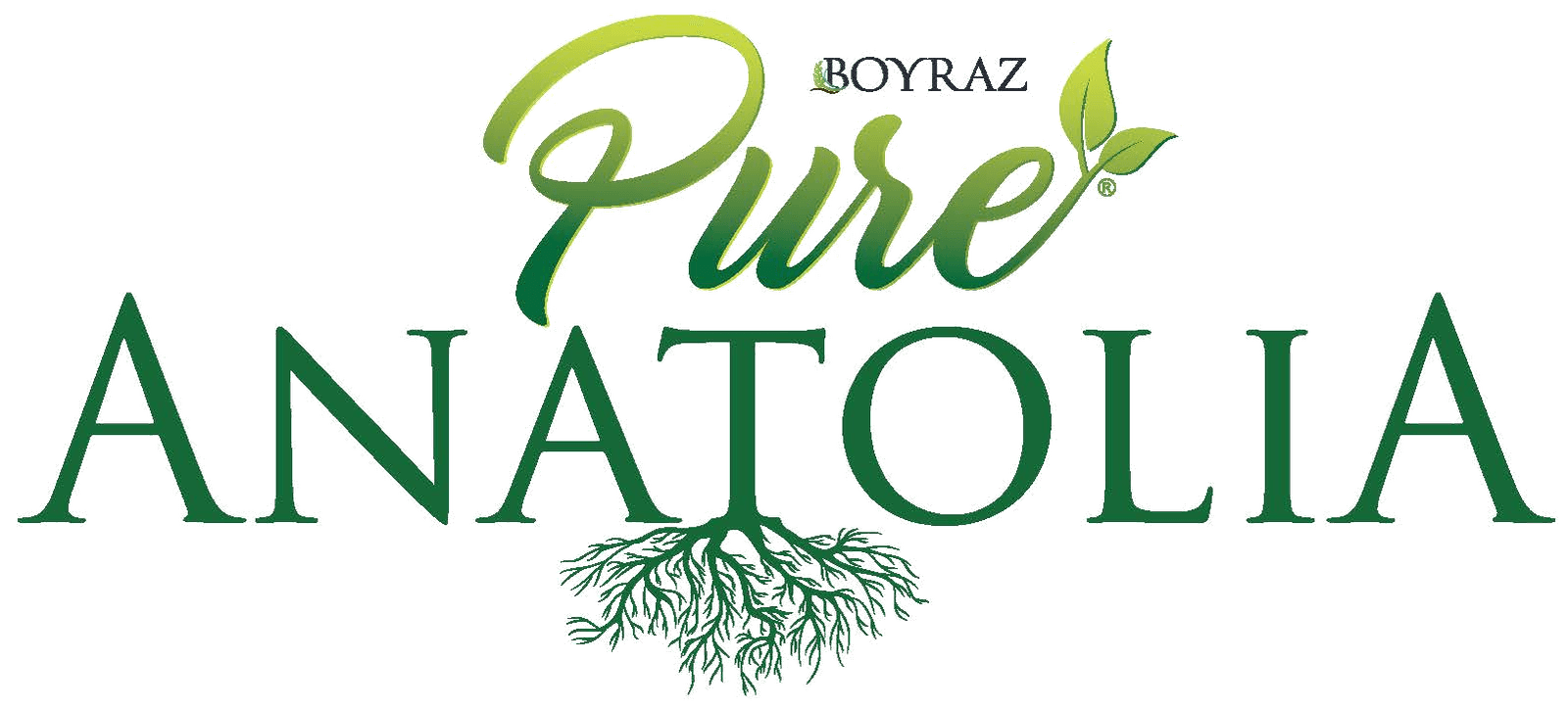 Pure Anatolia logo