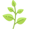 Grassia’s Italian Market Spice Co logo