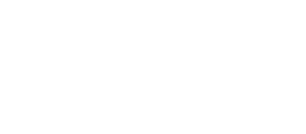 Value Fragrances & Flavors logo