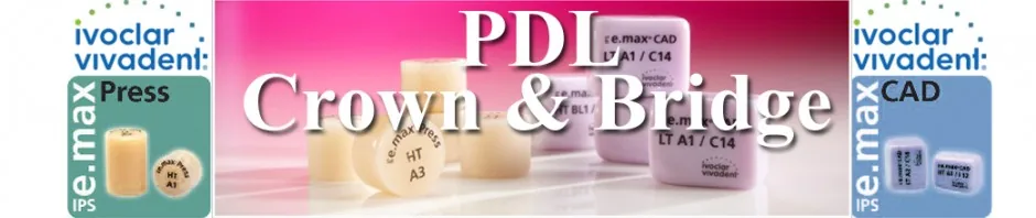Precision Dental Lab logo