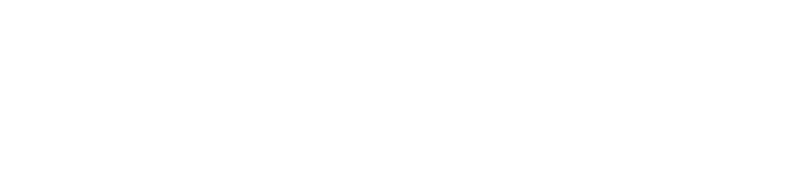WINAICO logo