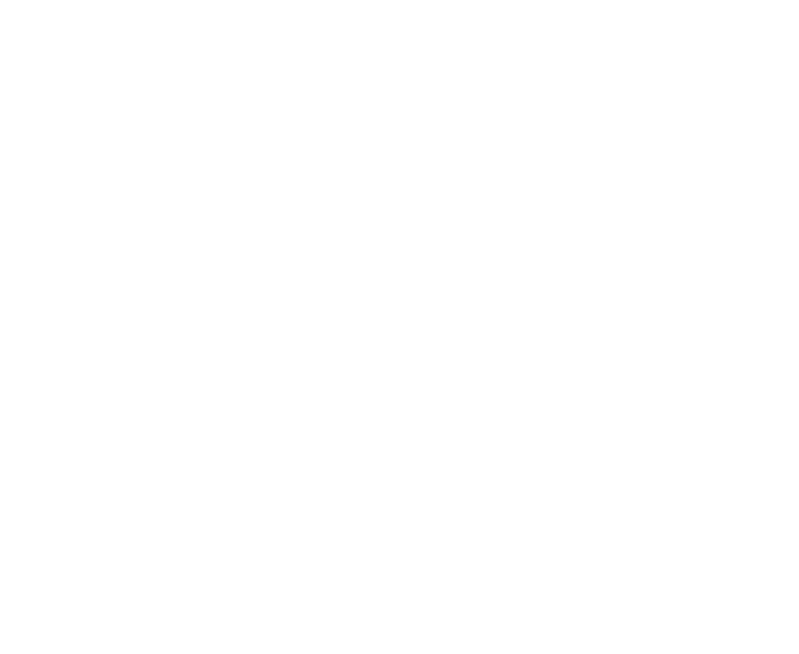 Dynamic Sportswear (Pvt.) Ltd logo