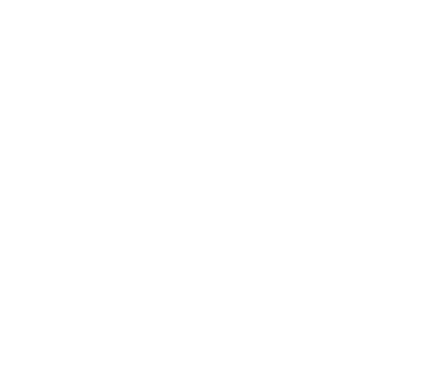 RED Delight Chocolate logo
