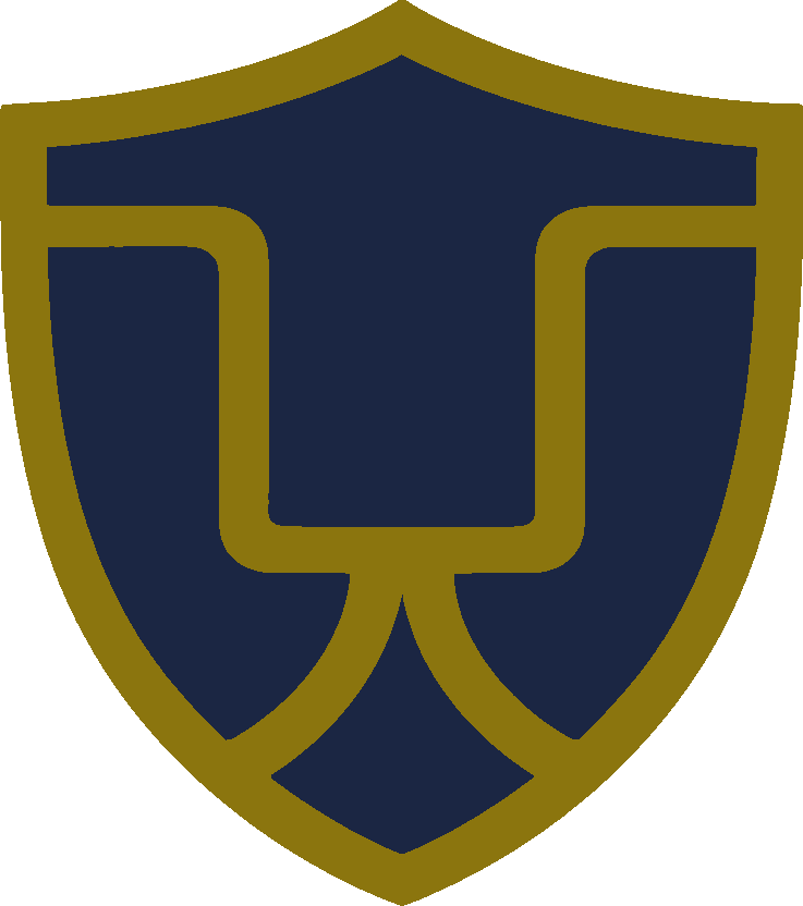 Vanguard Solutions LLC logo