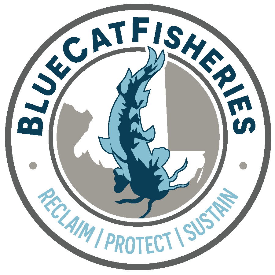 Bluecat Fisheries LLC logo