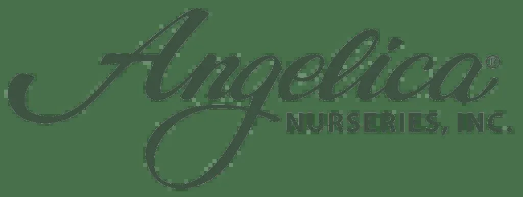 Angelica Nurseries, Inc logo