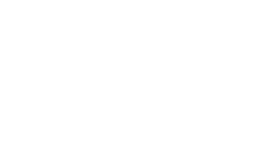 Beech-Nut Nutrition Company logo