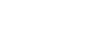Wawa, Inc logo