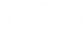 Panacheeza logo