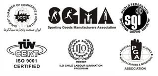 Goldsoni International (PVT) LTD logo