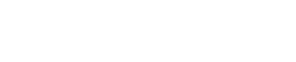 ConnectInfer logo