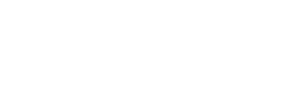 Safe Fleet logo
