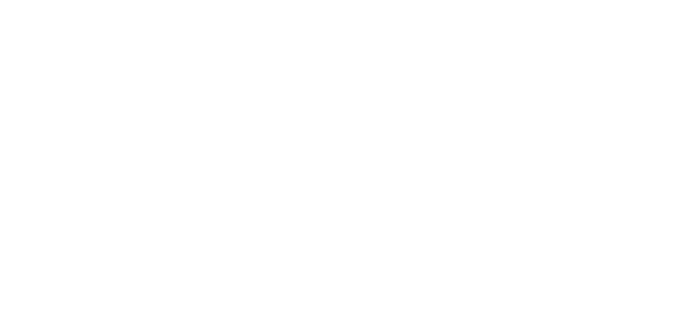 Buffalo Computer Graphics logo