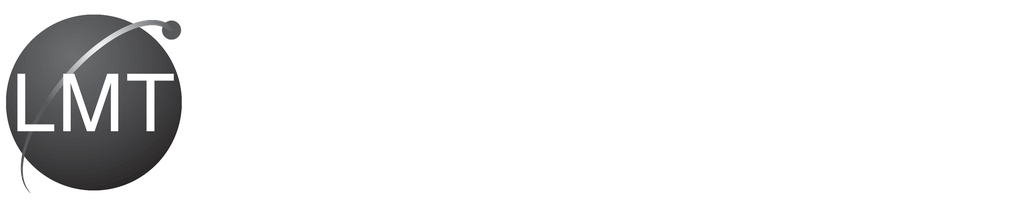 LMT Mercer Group, Inc logo