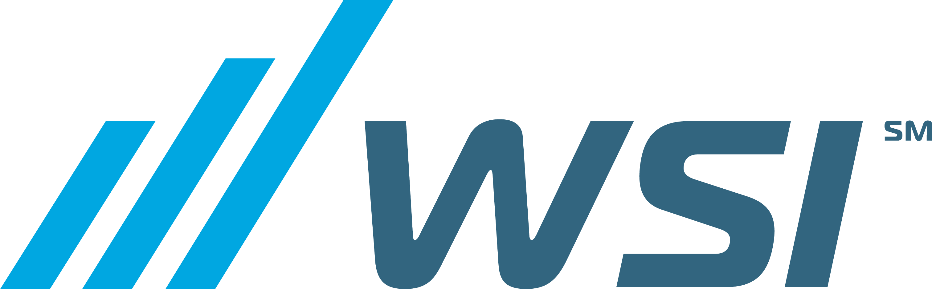 WSI logo