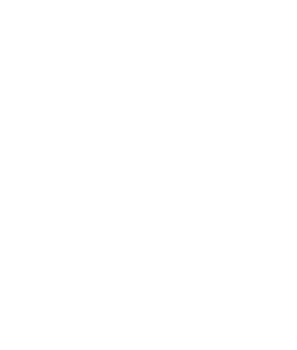 Chroma logo