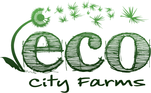 ECO City Farms logo