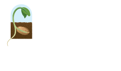 Ernst Conservation Seeds logo
