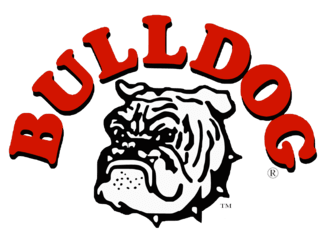 Bulldog Tools, Inc logo