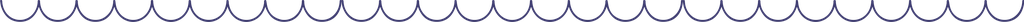 RS Nets USA logo
