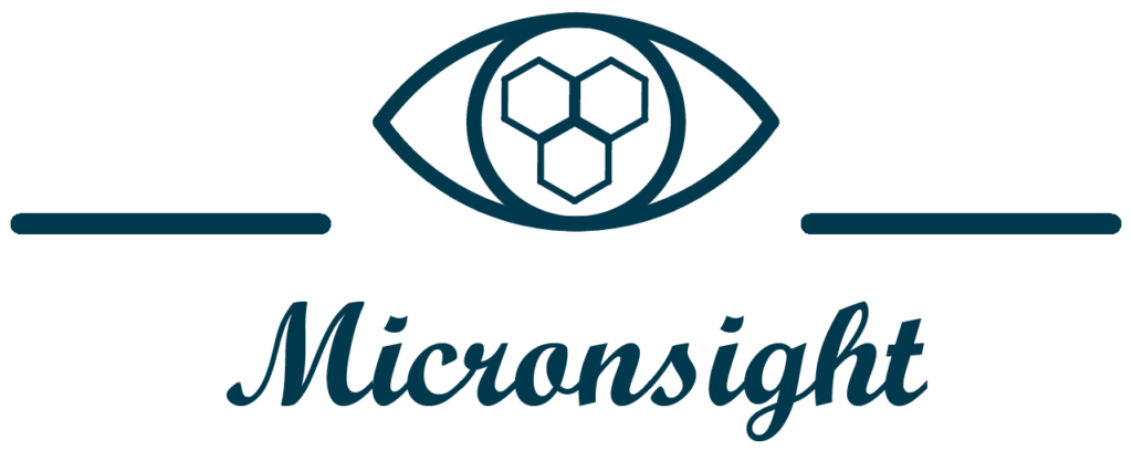 MICRONSIGHT LLC logo