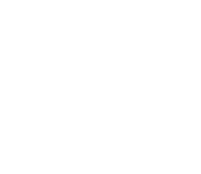 Big Ditch Brewing Company logo