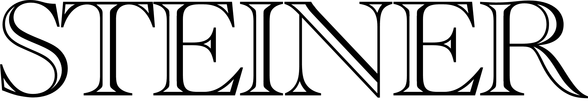 Steiner Technologies, Inc logo