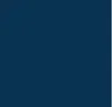 Corvidane logo