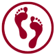 In Step Biomechanics logo