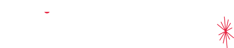 Falk Precision, Inc logo