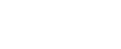 Paladin Robotics logo