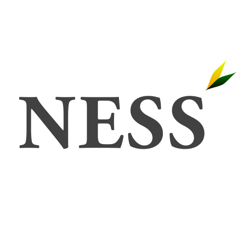 NESS, Inc. (Norwegian Energy Solutions and Services) logo