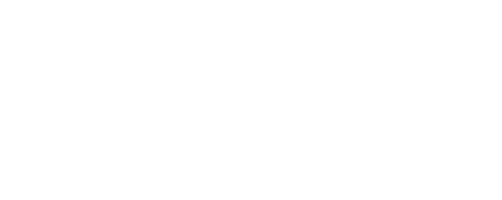 NORPEL logo