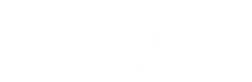 Vakkerlight logo
