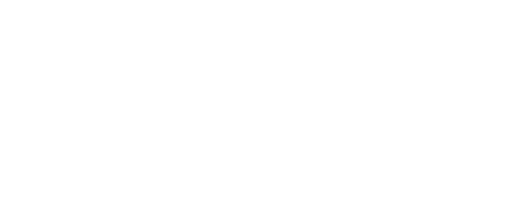 12 Point Print logo