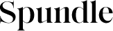 Spundle logo