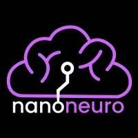 Nanoneuro Systems logo