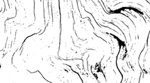 Enpac Pallets & Crates, Inc logo