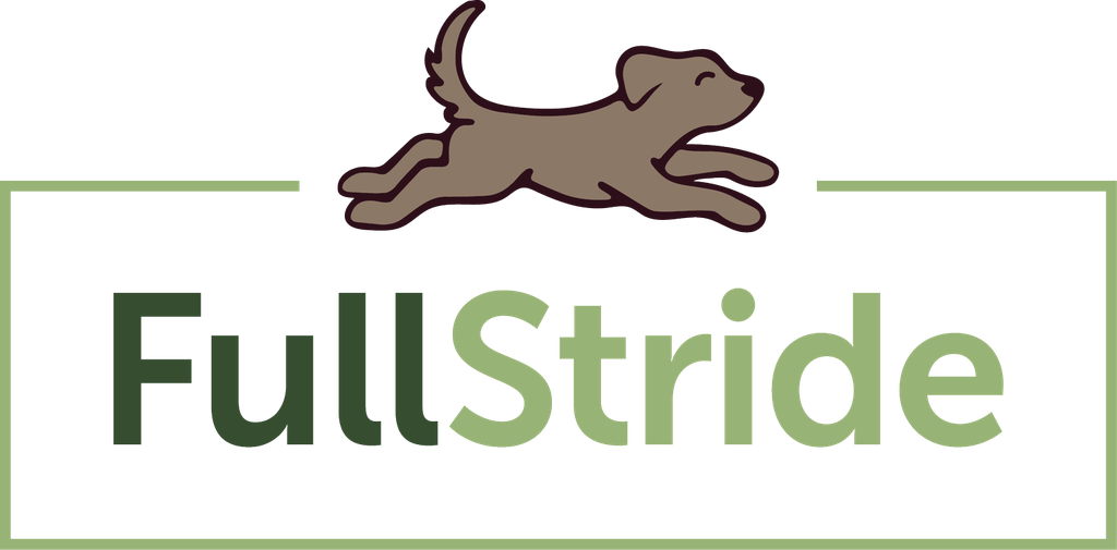 FullStride Print logo
