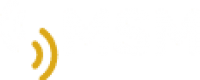 MSM USA logo