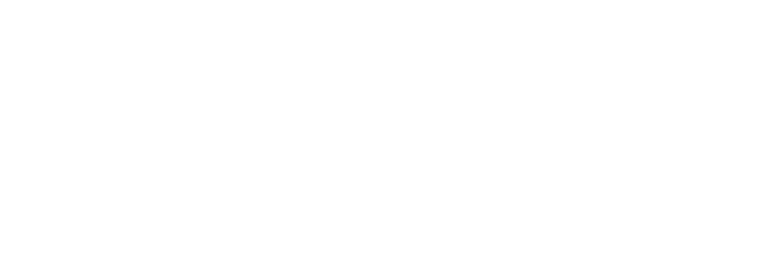 Canam Steel Corporation logo