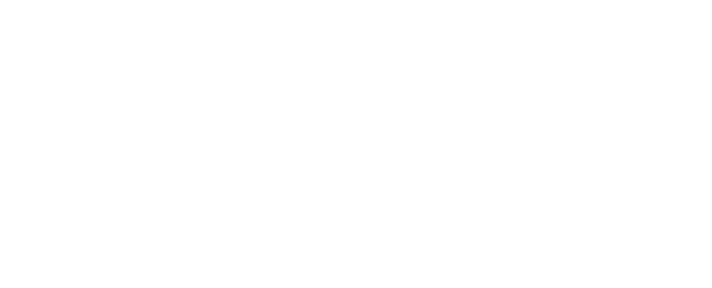 Accipiter Systems logo