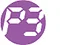 P3 International Corporation logo